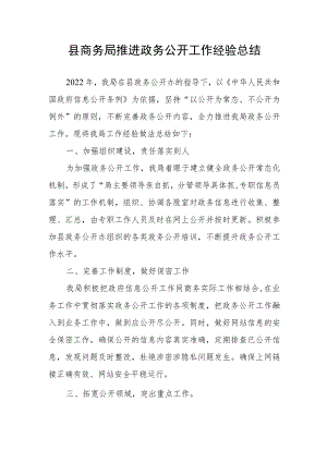 县商务局推进政务公开工作经验总结.docx