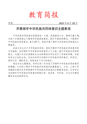 开展铸牢中华民族共同体意识主题教育简报.docx
