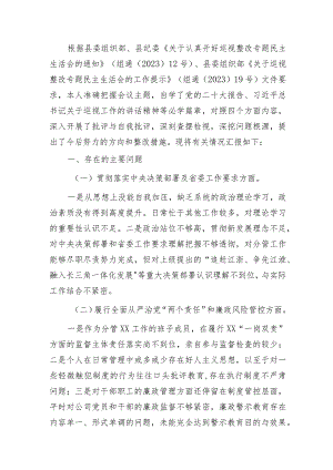 国企公司巡视（巡察）整改专题民主生活会个人对照检查发言2000字.docx