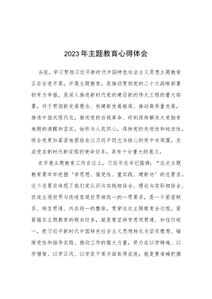 四篇2023开展主题教育的学习心得体会模板.docx