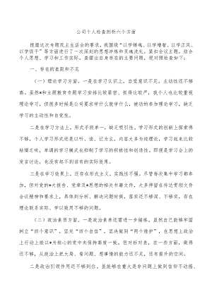 公司个人检查剖析六个方面.docx