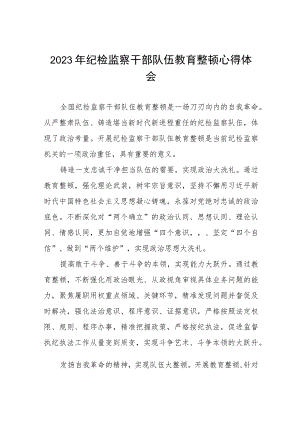 纪检干部队伍教育整顿心得体会范文(五篇).docx