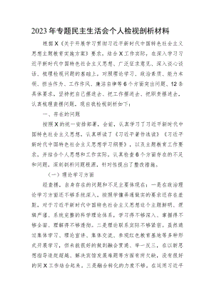 2023年专题民主生活会个人检视剖析材料.docx