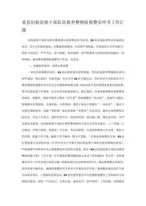 某县纪检监察干部队伍教育整顿检视整治环节工作汇报.docx