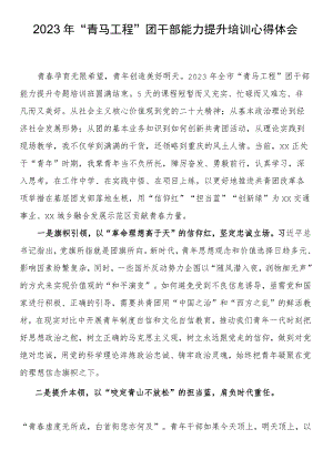2023年“青马工程”团干部能力提升培训心得体会（二）.docx