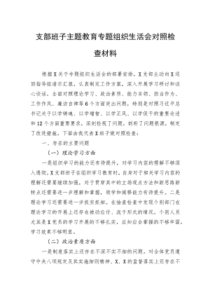 支部班子主题教育专题组织生活会对照检查材料.docx