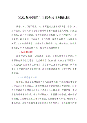 2023年主题教育专题民主生活会个人检视剖析材料.docx