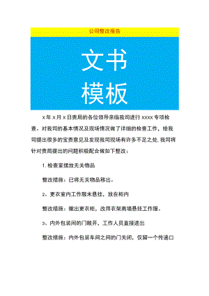 公司整改报告.docx