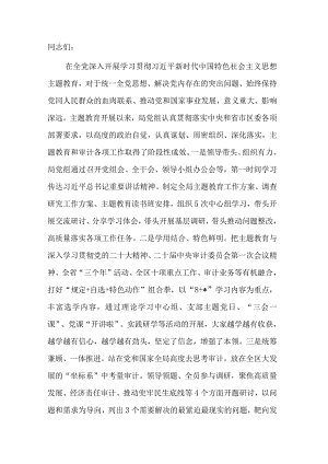 区县审计局主题教育党课讲稿.docx