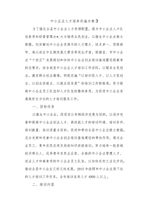 中小企业人才培养实施方案3.docx