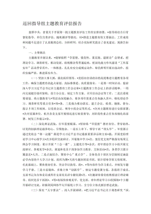 巡回指导组主题教育评估报告.docx