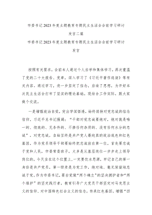 市委书记2023年度主题教育专题民主生活会会前学习研讨发言二篇.docx