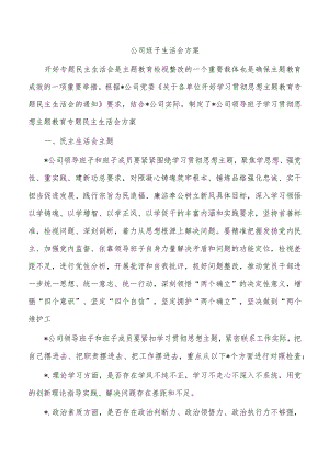 公司班子生活会方案.docx