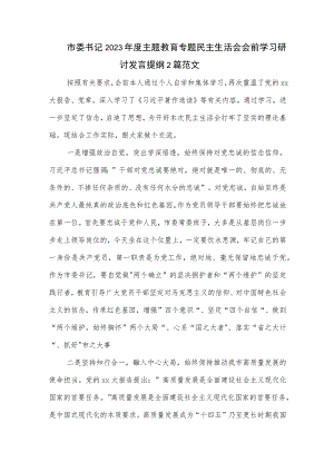 市委书记2023年度主题教育专题民主生活会会前学习研讨发言提纲2篇范文.docx