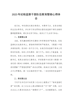 2023纪检监察干部队伍教育整顿心得体会发言稿(5篇).docx