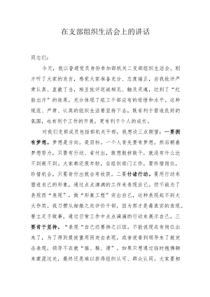 在市委组织部机关支部组织生活会上的讲话.docx