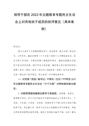 领导干部在2023年主题教育专题民主生活会上对其他班子成员的批评意见（具体案例）.docx