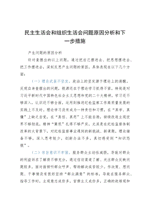 民主生活会和组织生活会问题原因分析和下一步措施.docx