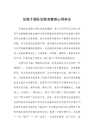 “2023年纪检监察干部队伍教育整顿”的心得体会5篇.docx