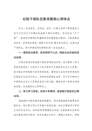 2023纪检干部队伍教育整顿心得体会(5篇).docx