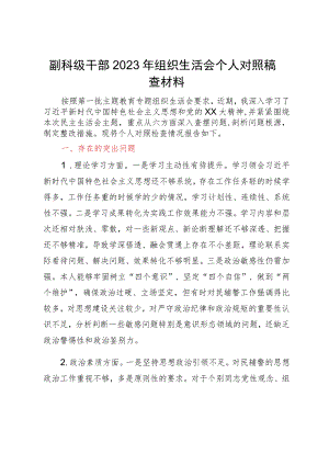 副科级干部2023年主题教育专题组织生活会个人对照检查材料.docx