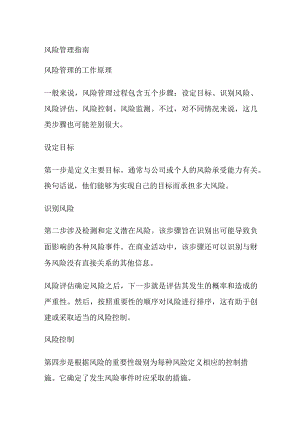风险管理指南.docx