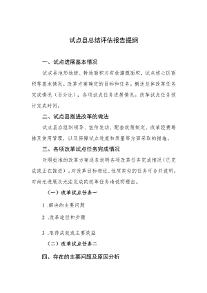 试点县总结评估报告提纲.docx