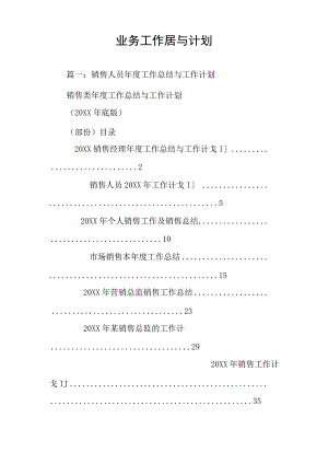 业务工作总结与计划.docx