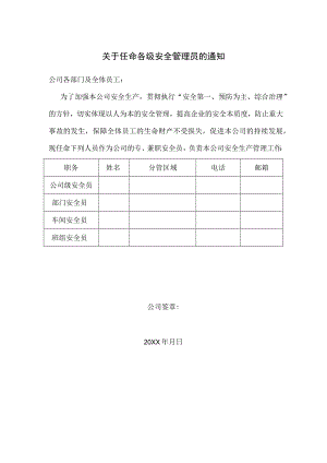 关于任命各级安全管理员的通知模板.docx