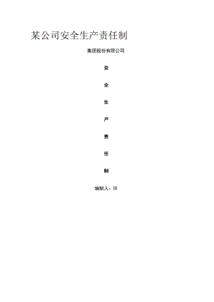 某公司安全生产责任制.docx