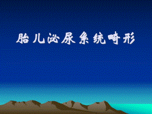 胎儿泌尿系统畸形.ppt