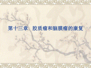 胶质瘤和脑膜瘤.ppt