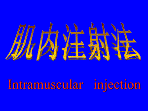 肌内注射注意事项.ppt