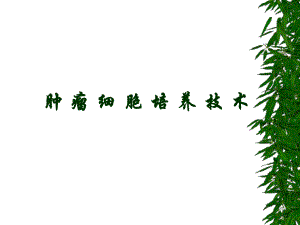 肿瘤细胞培养技术林星石.ppt