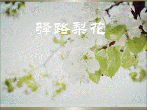 14驿路梨花PPT课件.ppt