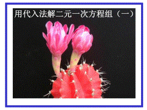 3.3用代入法解二元一次方程组1.ppt