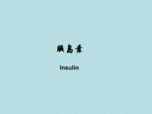 胰岛素中国风.ppt