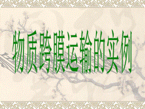 物质跨膜运输的实例PPT.ppt