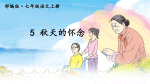 5天的怀念2.ppt