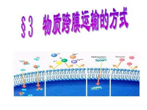 43物质跨膜运输的方式ok.ppt