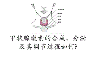 甲状腺激素的合成拓展用.ppt