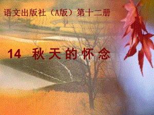 2天的怀念.ppt