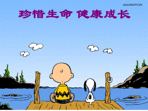 珍爱生命主题班会课件.ppt