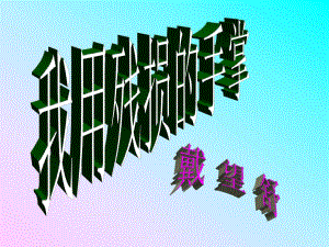 2我用残损的手掌课件修.ppt