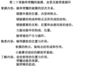 脑膜脑血管解剖图.ppt