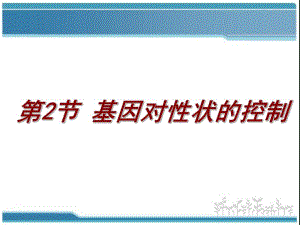 4.2基因对性状的控制课件雷群英.ppt