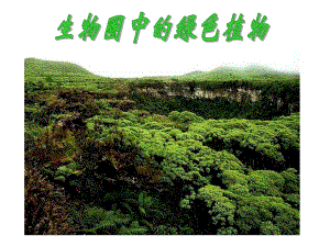 311藻类、苔藓和蕨类植物课件[1].ppt
