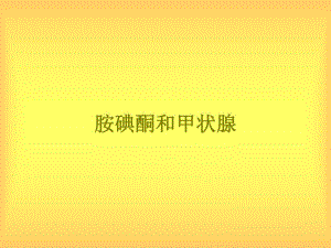胺碘酮与甲状腺.ppt
