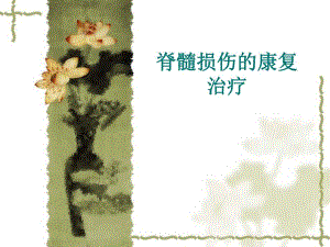 脊髓损伤的康复治疗.ppt