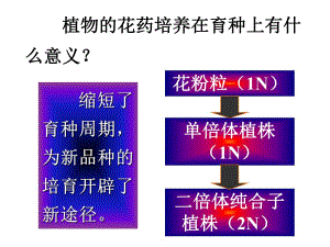 3.2月季的花药培养课件辛越权.ppt